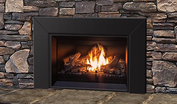 E25 Gas Insert 821 Nova w/Log Set, Surround & LP Conv Kit