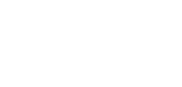 DaVinci Fireplaces Logo